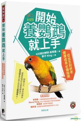 開城大道中怎麼樣 如何在繁華中尋找寧靜